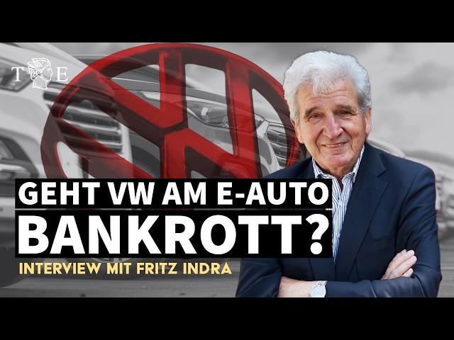 Geht VW am E-Auto bankrott? - Interview mit Fritz Indra