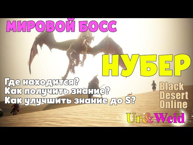 Мировой Босс Нубэр: Как найти? Как получить знание на Нубэра?