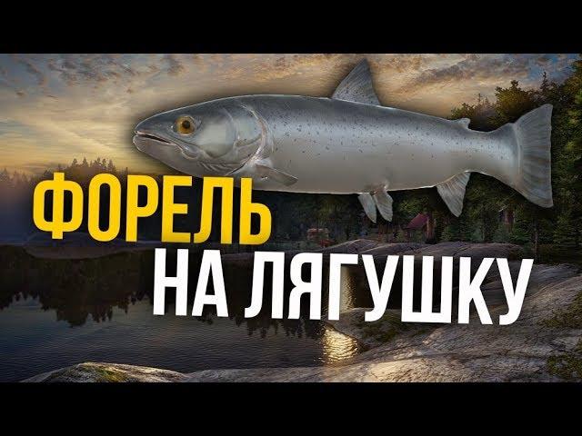 РУССКАЯ РЫБАЛКА 4. Озеро Куори. Ловля на Лягушку и прочего живца.