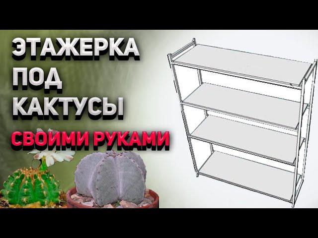 Этажерка (полочки)  для кактусов и суккулентов своими руками. Уход за кактусами.