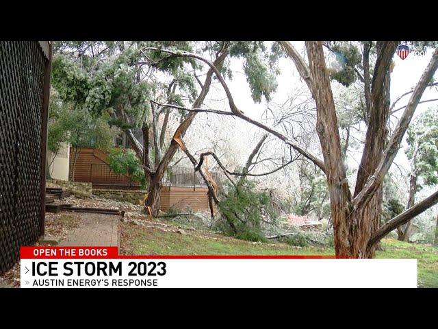 CBS Austin: Why Wasn't Austin Energy Tree Trimming Ahead of Ice Storm?