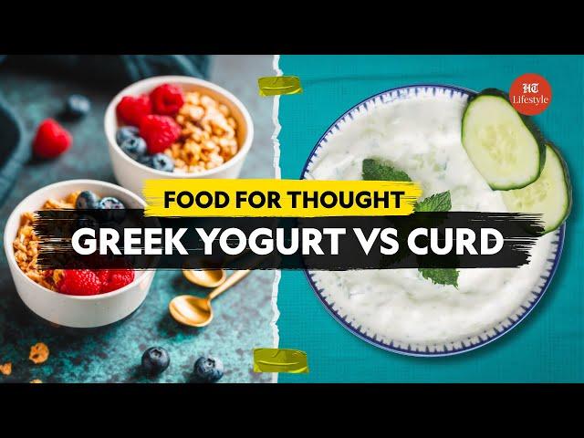 Greek Yogurt Vs Curd | Food For Thought