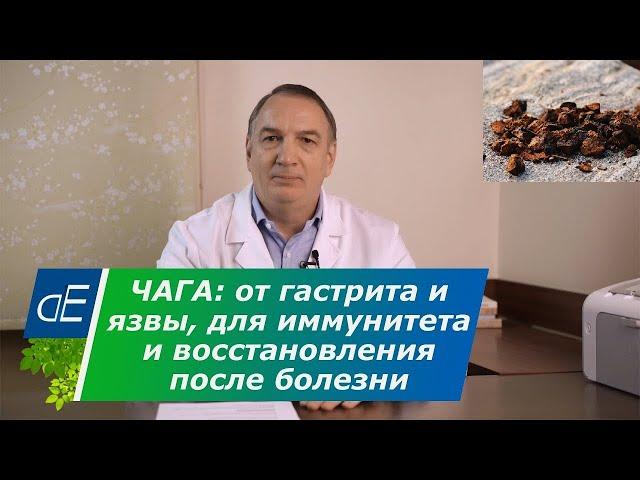 ЧАГА от ГАСТРИТА и язвы желудка, при онкологии ?, для ИММУНИТЕТА и восстановления после болезни.