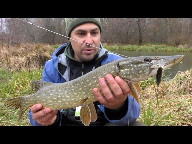 Pike Fishing with Twitching. Do Not Search for Fish in Wild Places.