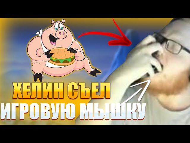 ХЕЛИН ЦЕЛУЕТСЯ С ИГРОВОЙ МЫШКОЙ! ОН СЪЕЛ МЫШКУ!!!... (нарезка) | HELIN139 | CS2