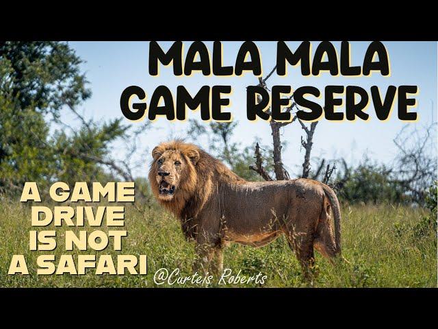 MALA MALA GAME RESERVE SOUTH AFRICA (The TRUTH)