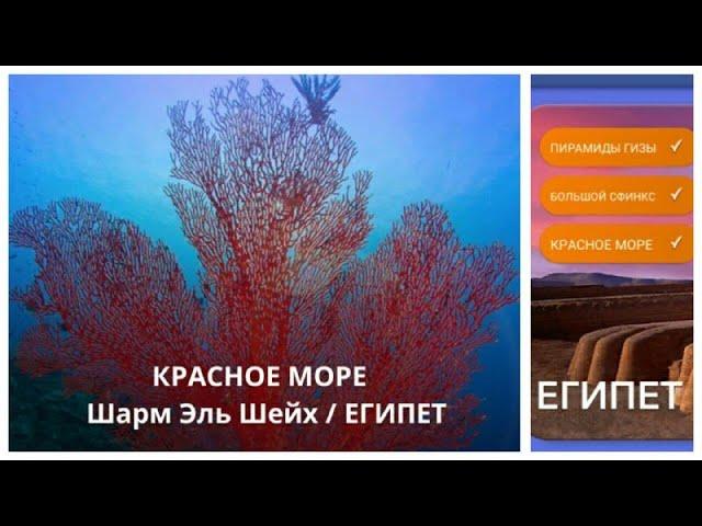 New! Wow Египет Красное море 12-20 Lvl Ответы