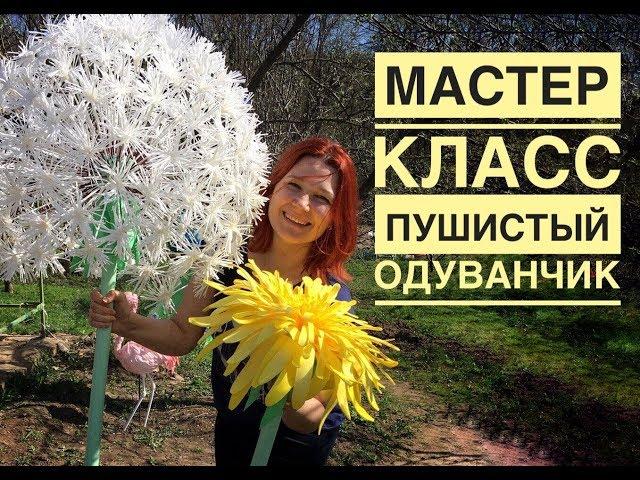 Мастер-класс ростовой пушистый одуванчик /DIY giant fluffy dandelion / Dente-de-leão macio gigante