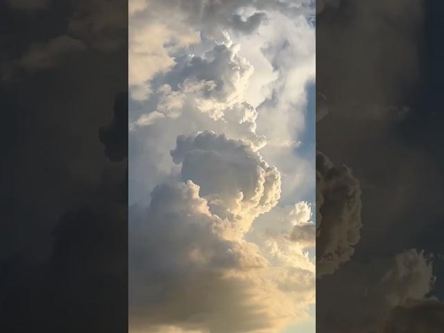 Epic Timelapse - Airmass Thunderstorm Development #shorts #stormchasing #thunderstorm #timelapse #yt