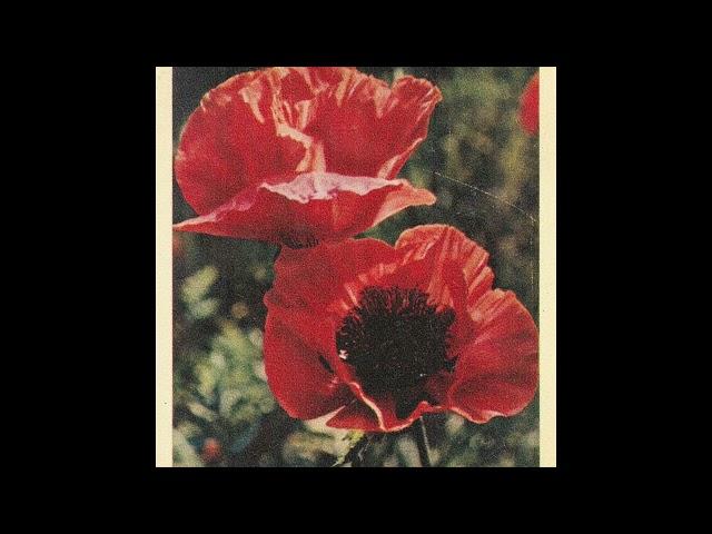 (FREE) CLEO SOL X MASEGO X NEO-SOUL TYPE BEAT - "BURGUNDY"