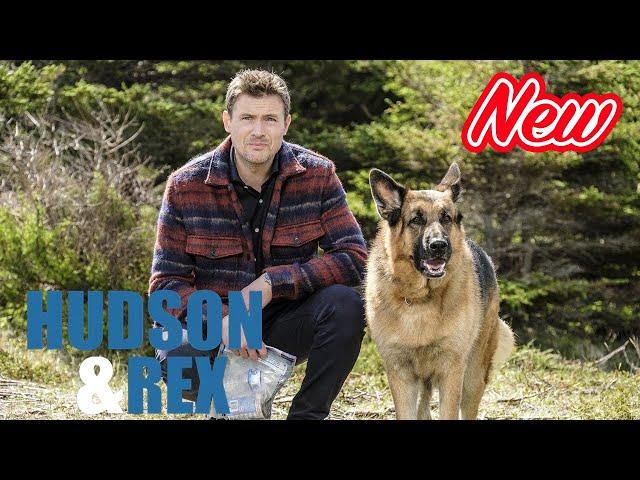 [ NEW ] Hudson & Rex 2024 | Sid and Nancy | Canine Crime Solvers Full Episode HD ‍ ‍ ‍