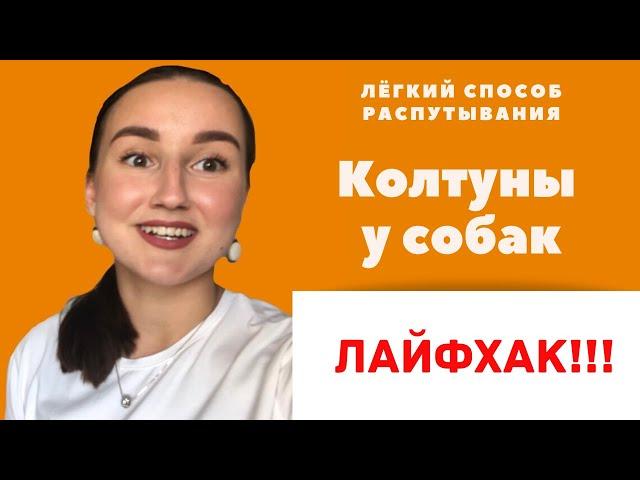 КОЛТУНЫ У СОБАК: лёгкий и быстрый способ вычёсывания (ЛАЙФХАК!)