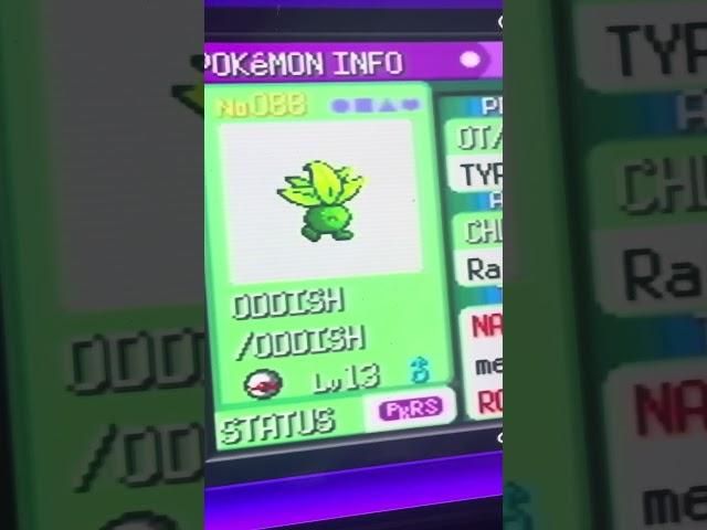 I got Pokerus in Pokemon Emerald!