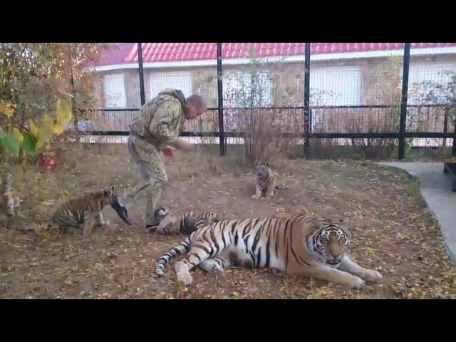 Как же они любят Олега Зубкова! Тайган