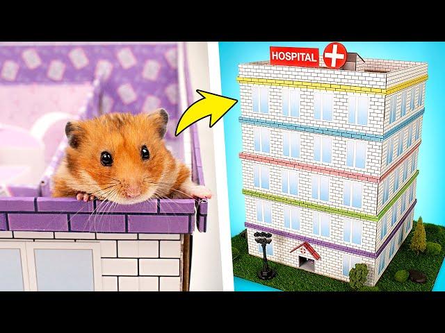 Hospital Labirinto de Cinco Níveis DIY para o Hamster ️