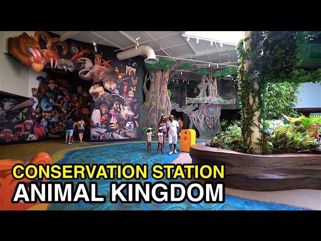 [4K] Conservation Station - Animal Preservation : Animal Kingdom (Orlando, FL)