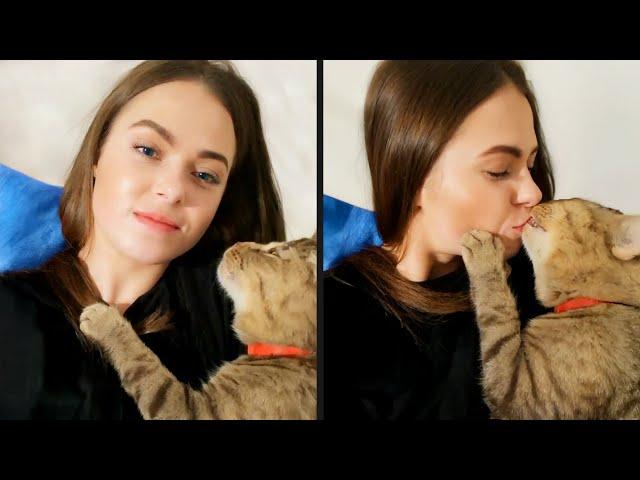 A Cat With Infinite Rizz
