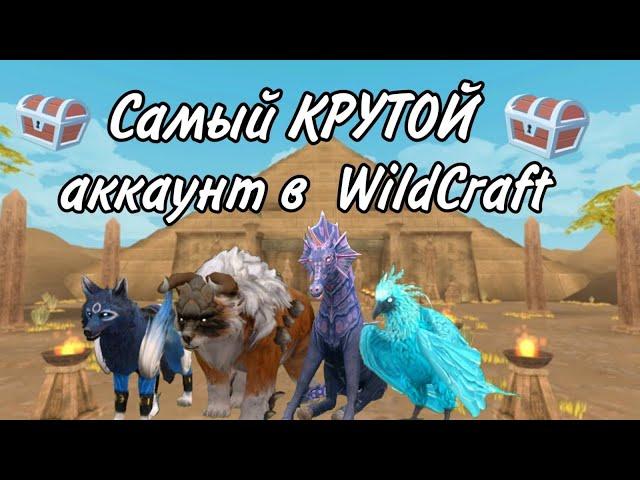 ~| ПОЛНЫЙ ОБЗОР МОЕГО АККАУНТА WildCraft / ТРАТИМ ВСЕ КРИСТАЛЫ |~