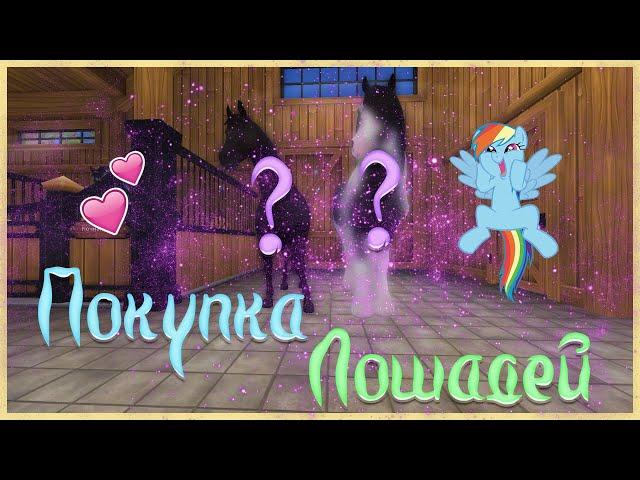 Покупка лошадей #13|Новые лошадки|Тинкер|Тракен|Star Stable|SSO