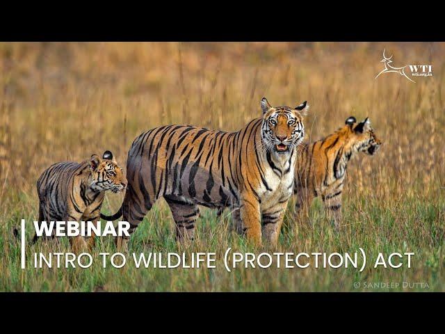 Webinar: Introduction to the Wildlife (Protection) Amendment Act, 2022