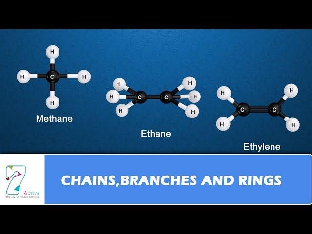 CHAINS, BRANCHES AND RINGS