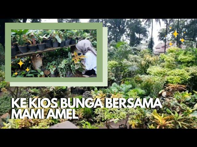 Ke kios Bunga Bersama Mami Amel | Edisi Planttour