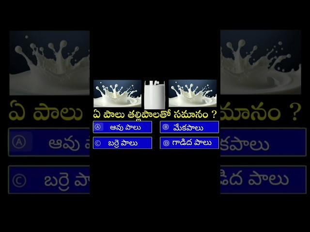 interesting GK question and answers Telugu general knowledge #shorts