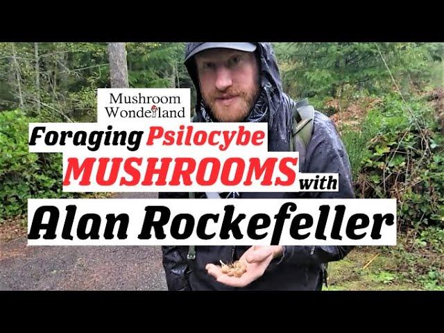 Foraging Psilocybe Mushrooms with Alan Rockefeller