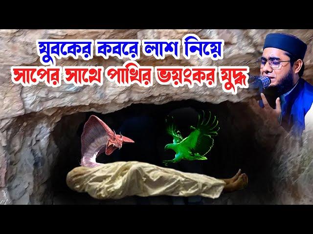 যুবকের কবরে সাপের সাথে পাখির যুদ্ধ shahidur rahman mahmudabadi new bangla waz2024 মাহমুদাবাদী ওয়াজ