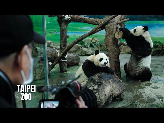 Taipei Zoo Walking Tour (Largest Zoo in Asia) (4K HDR)