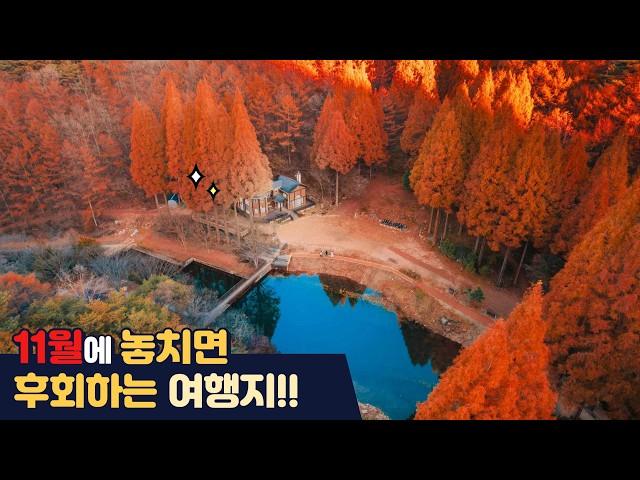 [sub]11월에 놓치면 후회하는 여행지(기가 막힌 곳만 모아 놓음.zip)