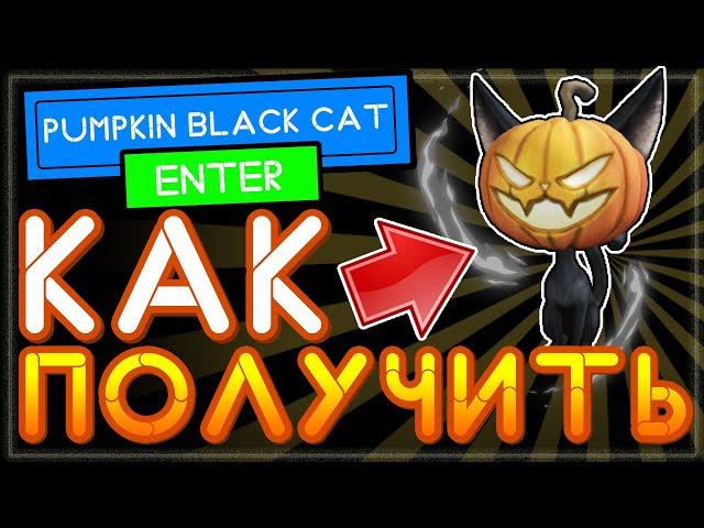 Как получить кота с тыквой в роблокс на телефоне андроид или ПК Pumpkin Black Cat?