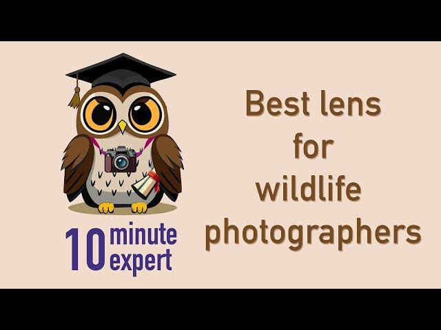 Expert pro wildlife photographer Andy Rouse explains the best lens for wildlife photographers