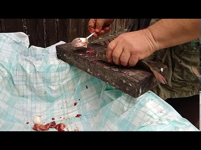 Чистим рыбу ,ложкой убираем жабры.