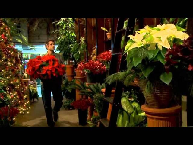 A worker's profile: a florist