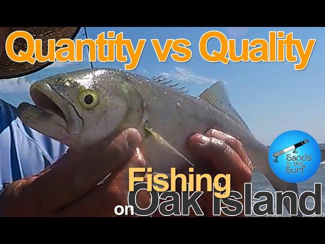 Quantity vs Quality fishing on Oak Island