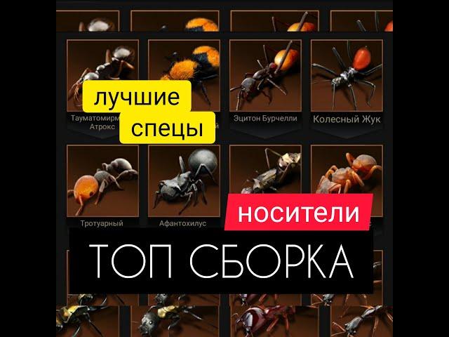 ТОПовые СПЕЦы для носителей! Моя мечта! The Ants: Underground Kingdom