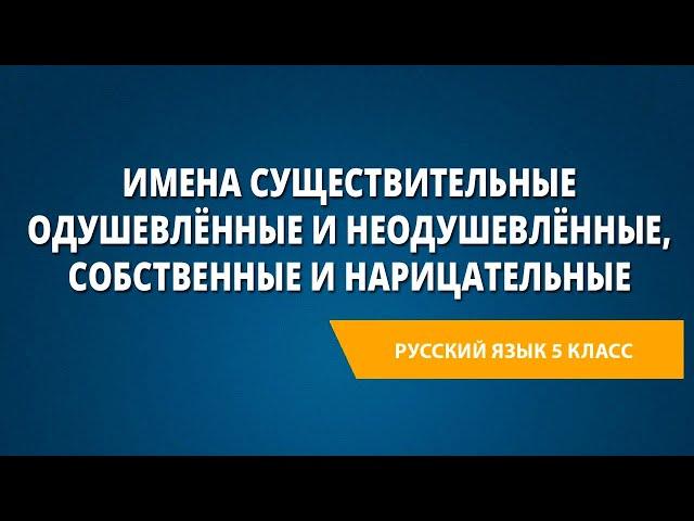 Имена существительные одушевлённые и неодушевлённые, собственные и нарицательные