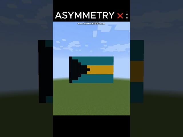 SYMMETRY & ASYMMETRY FLAGS#minecraft#shots