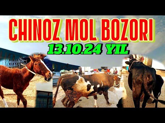 CHINOZ MOL BOZORIDAGI BUGUNGI NARXLAR 