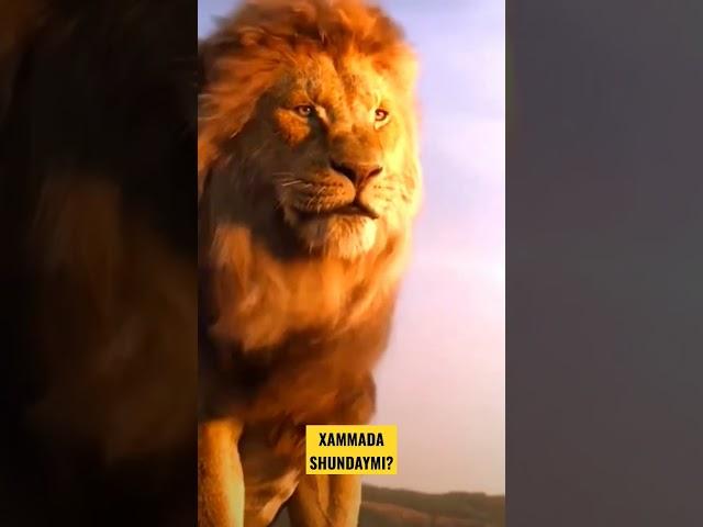 KAMOLIDDIN UZ