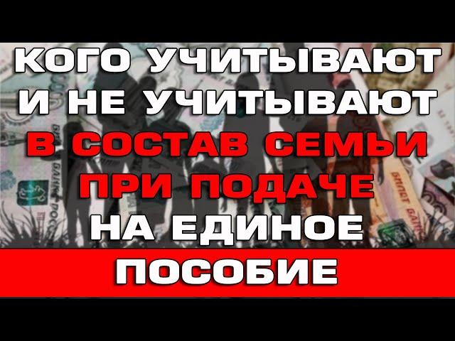 Кого учитывают и не учитывают в состав семьи при подаче на Единое пособие