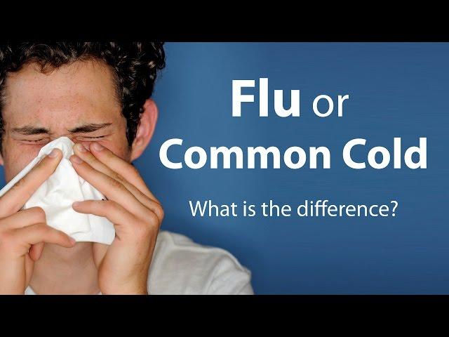 Flu or Common Cold - What is the difference?