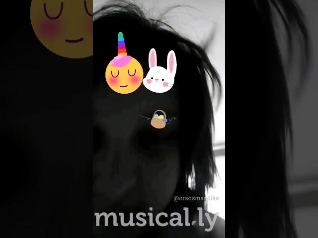 Musical. Ly