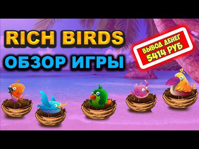 Rich-Birds экономическая игра с выводом денег проверка сайта, обзор, отзывы, мои результаты