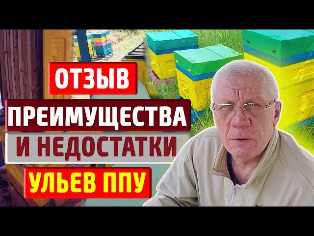 Пчеловодство и улья ппу Всё об ульях ппу после эксплуатации