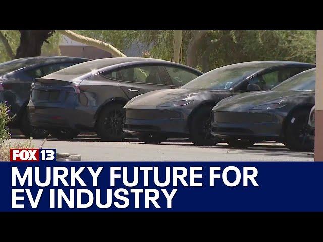 Future of EV industry looks murky, analyst says | FOX 13 Seattle