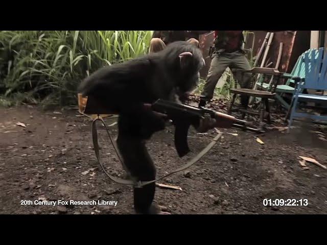 ape with AK-47  обезьяна стреляет из автомата