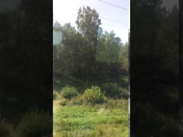 Проезд по мосту через Волгу на поезде