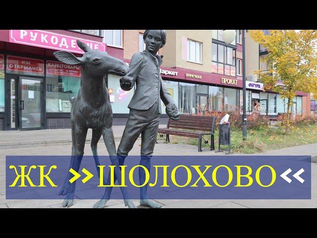 ЖК «Шолохово» - малоэтажный жилой комплекс на Дмитровском шоссе